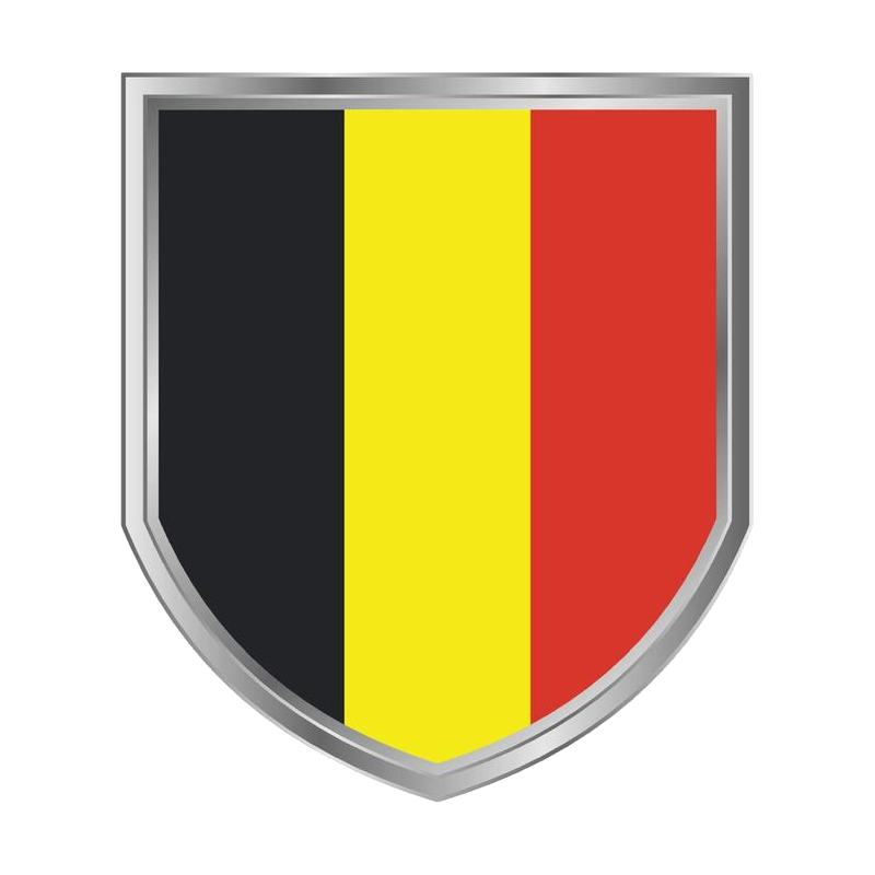 Flemish Community Logo